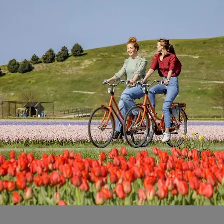 Zuidwest Zeven Free Parking! Гостевой дом Зандфорт