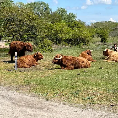 Гостевой дом Zuidwest Zeven Free Parking! Зандфорт