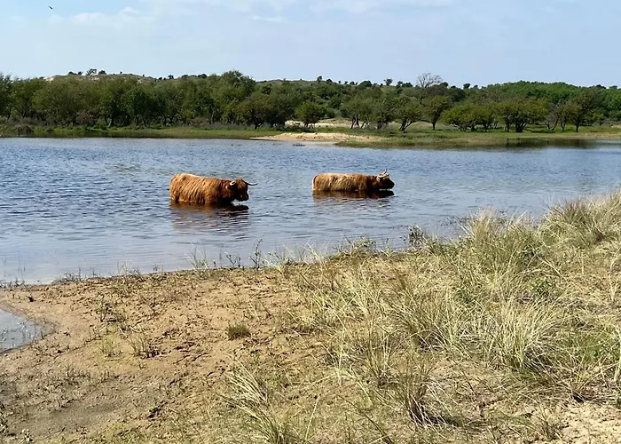 Zuidwest Zeven Free Parking! Зандфорт