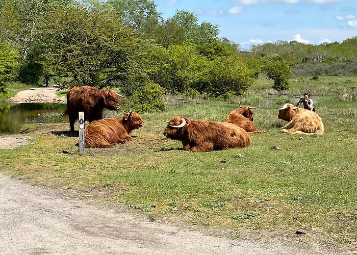 Гостевой дом Zuidwest Zeven Free Parking! Зандфорт