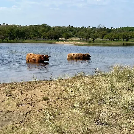 Zuidwest Zeven Free Parking! Zandvoort