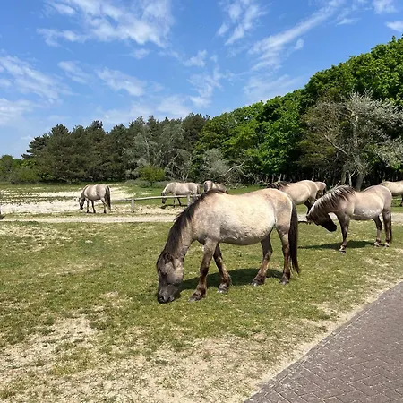 Konukevi Zuidwest Zeven Free Parking! 4*