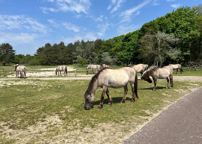 Konukevi Zuidwest Zeven Free Parking! 4*